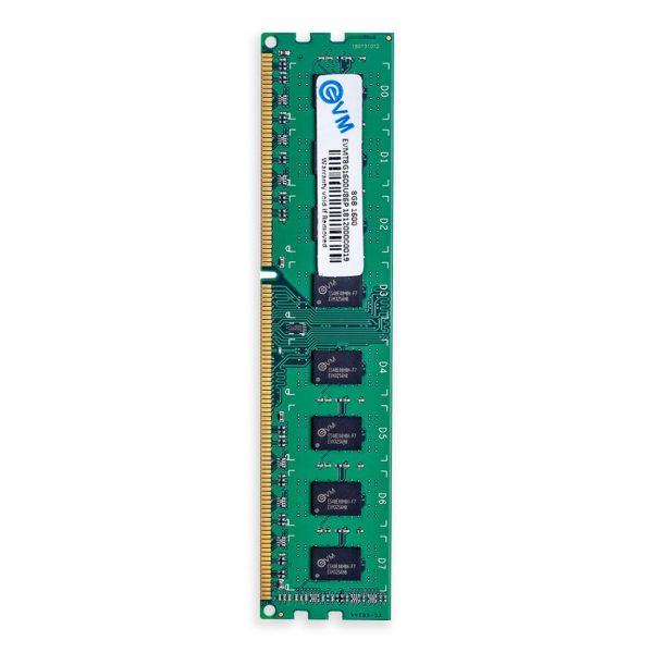 EVM RAM 8GB-1600